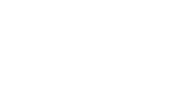 Consejo Amigos y Fundación