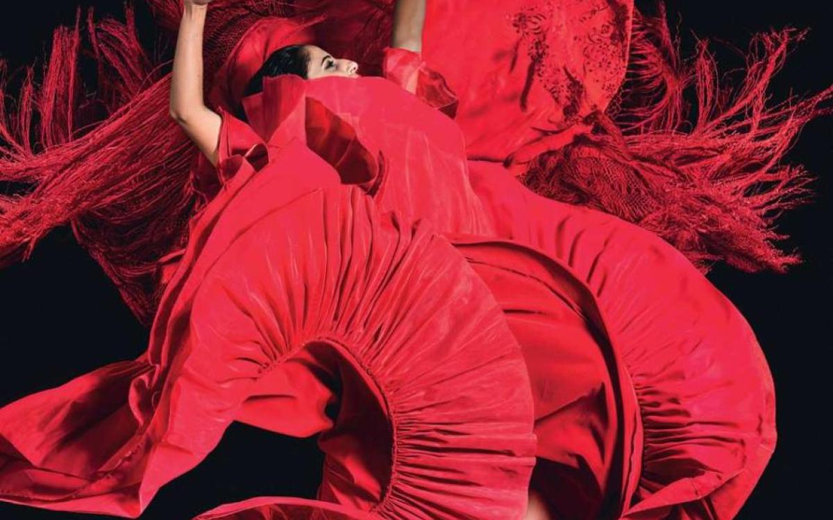 Flamenco Real